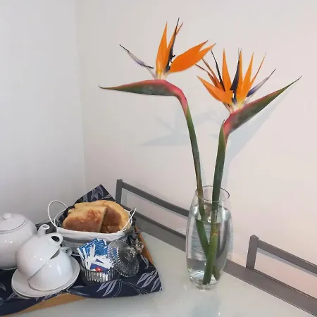Casa Neptuno Hébergement de vacances Rabo de Peixe