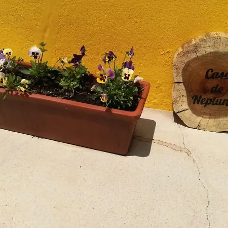 Casa Neptuno *